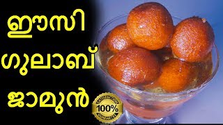 Easy gulab jamun in malayalam  ഈസി ഗുലാബ് ജാമുൻ [upl. by Schaab]