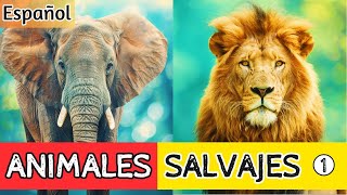 ¡Conoce a los Animales Salvajes Imperdible para Ver con tus Niños Parte 1 [upl. by Slen217]