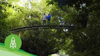 This Couple Nursed a Rainforest Back to Life [upl. by Mundt]