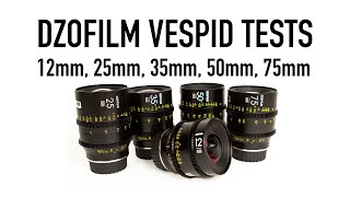 DZOFilm Vespid Set Tests  12mm 25mm 35mm 50mm 75mm [upl. by Cindie]