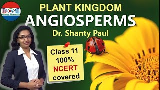 Angiosperms  Plant kingdom [upl. by Miriam]