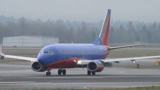 Bird Strike Southwest Airlines N618WN 737300 Portland Airport PDX [upl. by Nadler784]