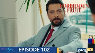 Forbidden Fruit Episode 102  FULL EPISODE  TAGALOG DUB  Turkish Drama [upl. by Derick]