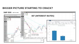 How Concerning Is the Damage to the Stock Market [upl. by Ariajay]