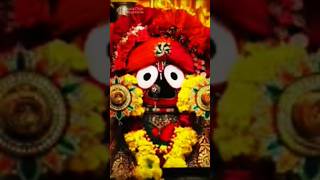 Kala Thakura puA Moharashorts bhajan jagannath [upl. by Neeham675]