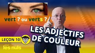 La leçon du professeur Julaud n°10  Les adjectifs de couleur [upl. by Lahcar889]