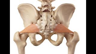 How to really strengthen the piriformis muscle [upl. by Dempstor889]