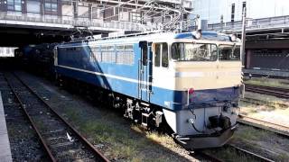 20161025 【OM入場】 C58 239 amp オヤ121 EF65501 大宮駅 [upl. by Rehpotsirahc]