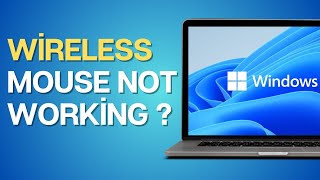 How to Fix Wireless Mouse Not Working on Windows [upl. by Earej]