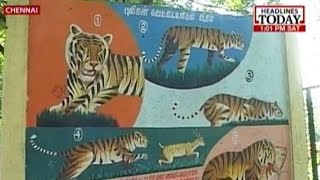 Bengal tiger missing from enclosure in Vandalur Zoo Chennai [upl. by Marigolda]