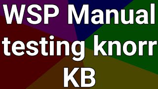 WSP system Knorr bremse manual testing [upl. by Drusy]