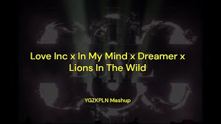 Love Inc  In My Mind  Dreamer  Lions In The Wild [upl. by Aryhs]