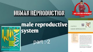 human reproduction male reproductive system part 2 🌟🌟🌟 with Pawan Kumawat [upl. by Anilorac]