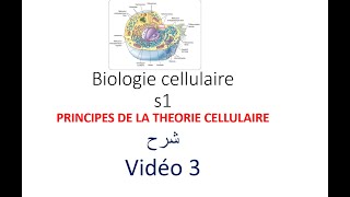 biologie cellulaire s1 vidéo 03  Introduction à la la biologie cellulaire شرح [upl. by Wooldridge]