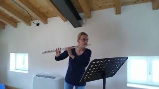 Anton Stamitz  8 Caprices for solo flute 2 Andante [upl. by Eerihs]