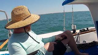 SAILING MOAI BEAUFORT AND CAPE LOOKOUT [upl. by Kcirtapnaes]