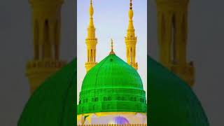 Wo mera Nabi hai islamicshortvideo madinesebulawaaarahahai islamicmusic islamicshort beautiful [upl. by Lavro]