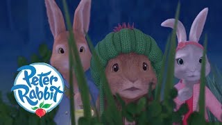 Peter Rabbit  The Dash in the Dark  Cartoons for Kids [upl. by Katushka]