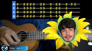 SUNFLOWER  Rex Orange County  Easy Ukulele Tutorial [upl. by Enillebyam]