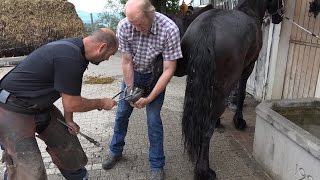 Friesengestüt van Waberg Lars Tiefenbacher Adetswil ZH  Hufschmiedtermin [upl. by Saylor]