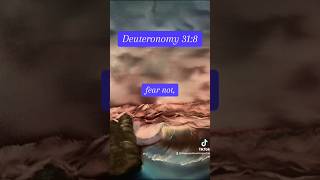 He will NOT Forsake you  Deuteronomy 318 shorts scripture biblereading biblical christian [upl. by Minsat950]