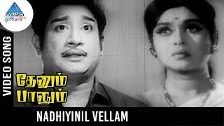 Thenum Paalum Movie Songs  Nadhiyinil Vellam Video Song  Sivaji  Padmini  Saroja Devi  MSV [upl. by Korie]