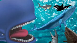 Bruce Jaws VS Orca 1977 VS The Meg VS Mosasaurus Maximus VS Blue Whale Finding Nemo VS Monstro [upl. by Eikceb924]