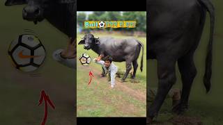 Ball⚽Ground में गिरने से बचाओ3😱🤯 comedy football [upl. by Caines]