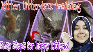 How to Train kittens to USE the Litter Box  How Little kittens Learn to go to the Litter Box [upl. by Magna192]