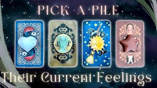 How They’re Currently Feeling About You👀🥰 Pick a Card🔮 Timeless InDepth Love Tarot Reading [upl. by Yrelle812]