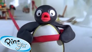 WHAT A MISTAKE 🐧  Pingu  Official Channel  Cartoons For Kids [upl. by Harald]