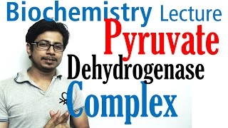 Pyruvate dehydrogenase complex [upl. by Etterrag]