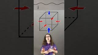 Buoyant Force Explained Why Objects Float [upl. by Burnight]