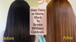 How To Apply Hair Color at Home  Black To Brown Hair Without Cutdown  Keune Hair Color [upl. by Nickola]