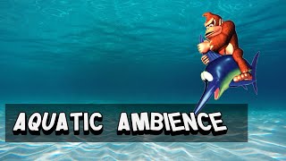 Aquatic Ambience Donkey Kong Country [upl. by Aneleasor224]