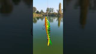 Crazy Fishing Lure🔥🎣 lure lurefishing fishing fishingvideo crazy pesca fish spinning shorts [upl. by Nodnarb127]