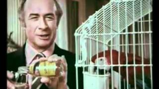 Schweppes Tonic Water TV advert by OampM quot Parrotquot 1971 [upl. by Cariotta]