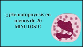 ¡¡¡Hematopoyesis en menos de 20 MINUTOS [upl. by Etnahc]