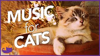 Magic Music for Cats  UNBELIEVABLE Results Tested 2022 [upl. by Jessen]