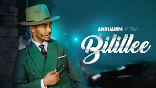 Bilillee  Andualem Gosa  New Oromo Music Video 2024 [upl. by Lenroc]