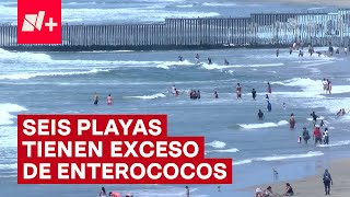 Alerta por estas playas contaminadas en México  N [upl. by Esertak437]