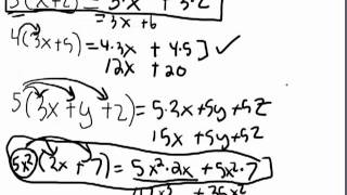 Distributive Property of Multiplication [upl. by Alleinad]