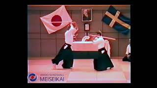 Aikido Ken Tai Ken Yokomen Uchi Gokyo Nishio Sensei Uppsala 1994 [upl. by Raval568]