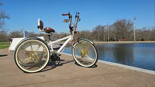 Custom Lowrider Etrike 2024 [upl. by Sinnal]