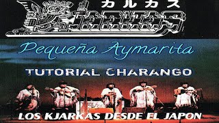 KJARKAS  PEQUEÑA AYMARITA quotTUTORIAL PARA CHARANGOquot [upl. by Ennovahs129]