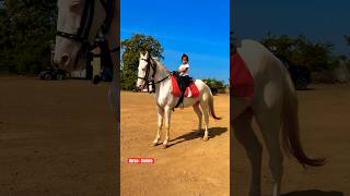 Dhruvi Rambo Horse 🐎 Riding  horse horses ghoda horseriding horselover ytvideo shortsfeed [upl. by Llenrep]