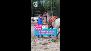 Learn Tips To Become Your Horses Leader  The Horse GuruMichael Gascon [upl. by Shelia]