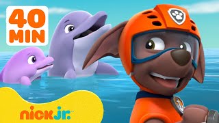 PAW Patrol Zuma’s Ocean Adventures w Rocky amp Chase 🐬 40 Minute Compilation  Nick Jr [upl. by Karissa]