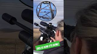 This is how its done  LongRange Airgun Hunting  FX Impact fxairguns [upl. by Nerfe]