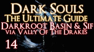 DARK SOULS  THE ULTIMATE GUIDE PART 14  DARKROOT BASIN  SIF VIA VALLEY OF THE DRAKES [upl. by Ignazio704]